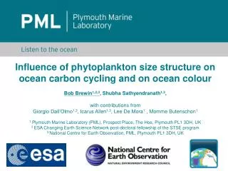 Influence of phytoplankton size structure on ocean carbon cycling and on ocean colour