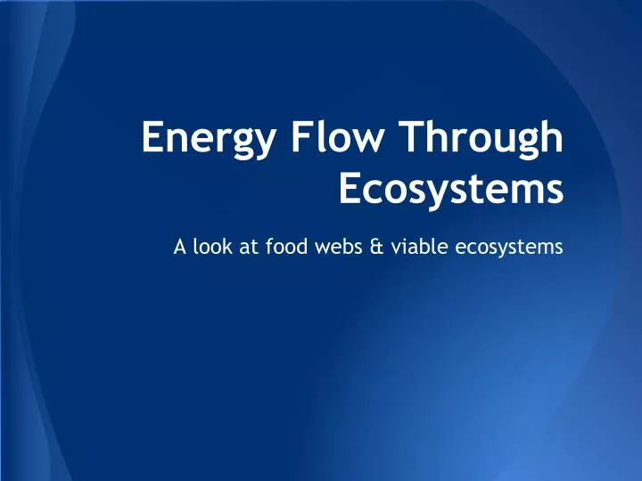 energy flow through ecosystems