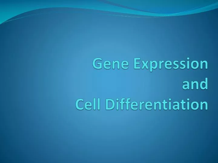 gene expression and cell differentiation