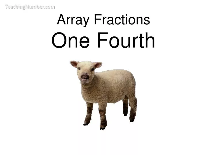 array fractions one fourth