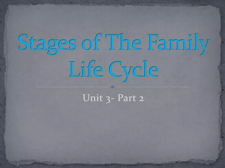 stages of the family life cycle