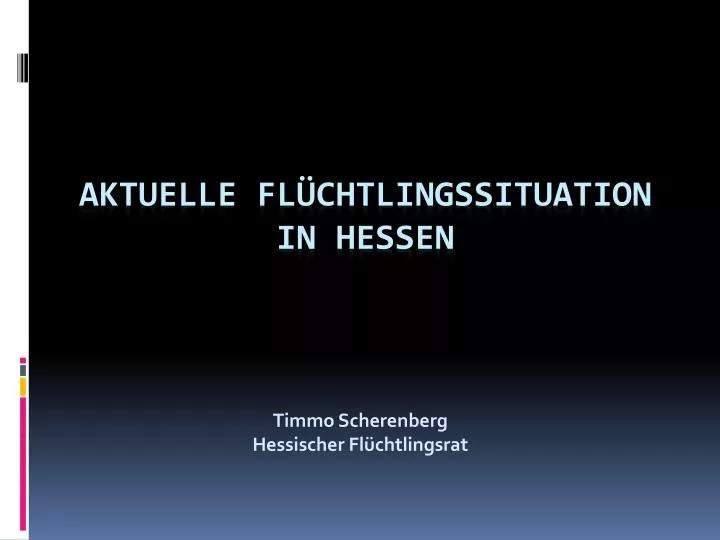 timmo scherenberg hessischer fl chtlingsrat