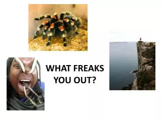what freaks you out