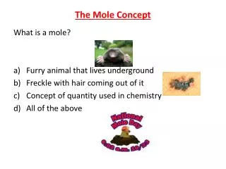 the mole concept
