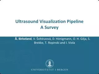 Ultrasound Visualization Pipeline A Survey