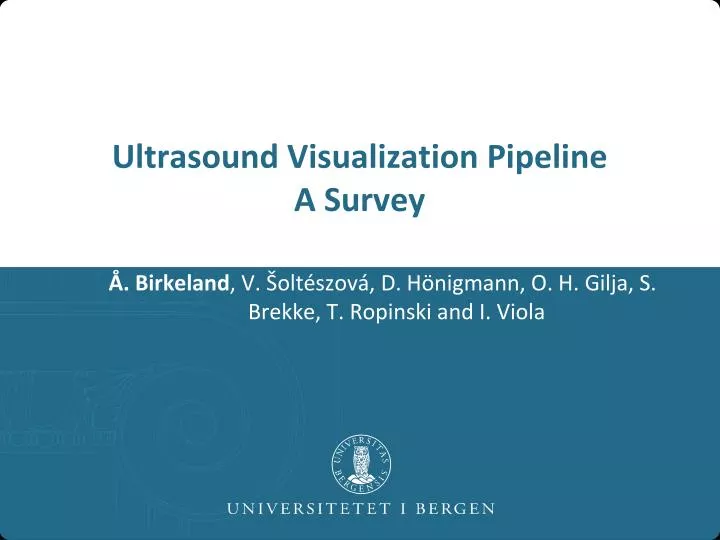 ultrasound visualization pipeline a survey