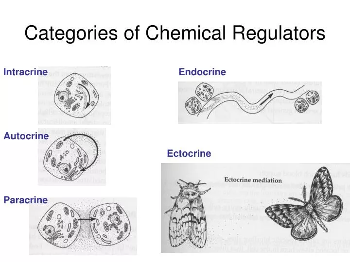 categories of chemical regulators