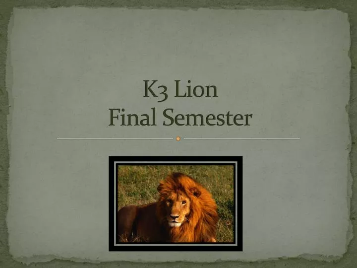 k3 lion final semester