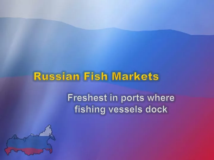 russian fish markets