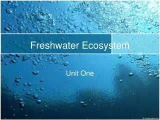 Freshwater Ecosystem