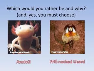 Which would you rather be and why? (and, yes, you must choose)