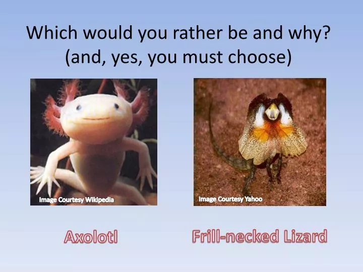 which would you rather be and why and yes you must choose
