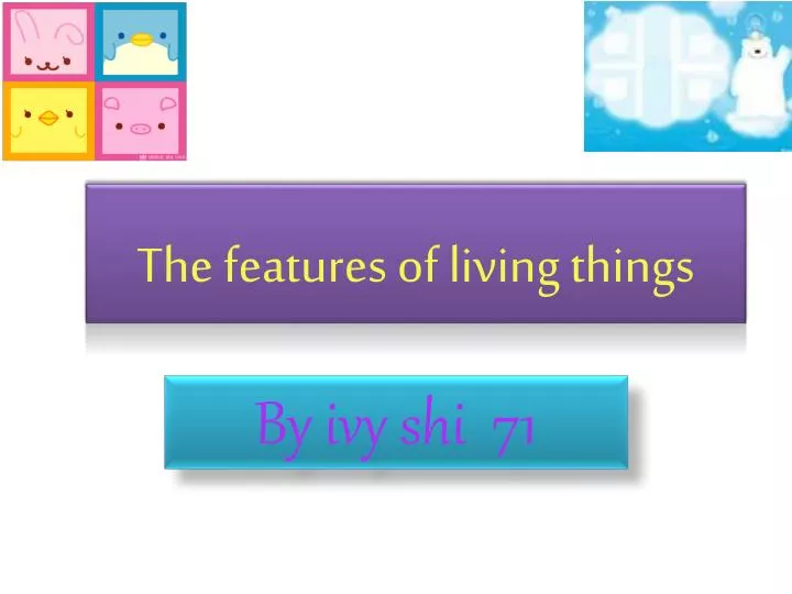 the features of living things