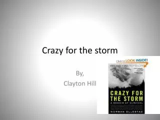 Crazy for the storm