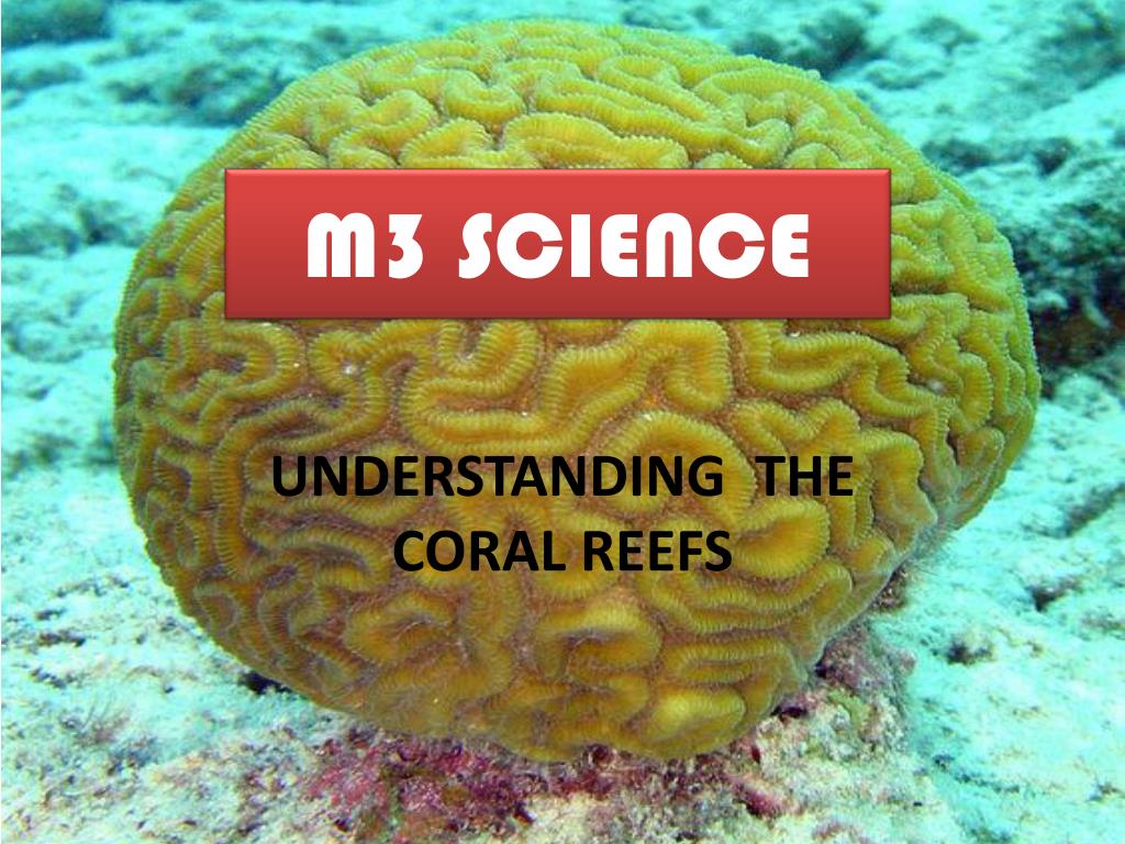 PPT - M3 SCIENCE PowerPoint Presentation, free download - ID:2808765