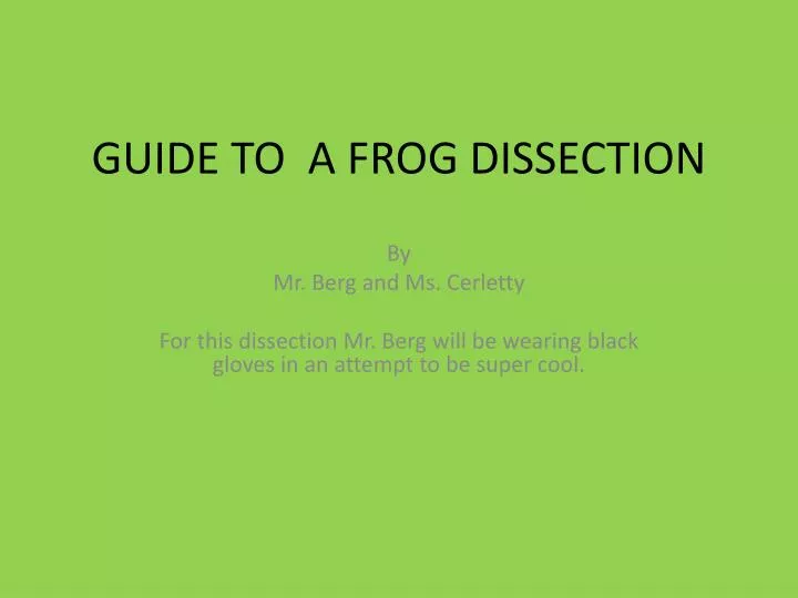 guide to a frog dissection