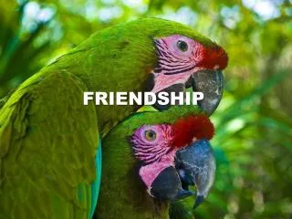 friendship