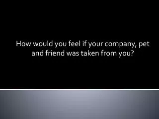How would you feel if your company, pet and friend was taken from you?