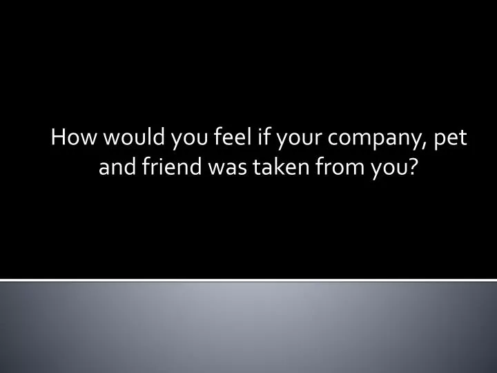 how would you feel if your company pet and friend was taken from you