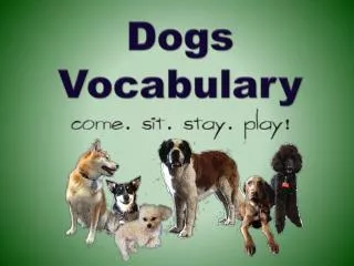 Dogs Vocabulary