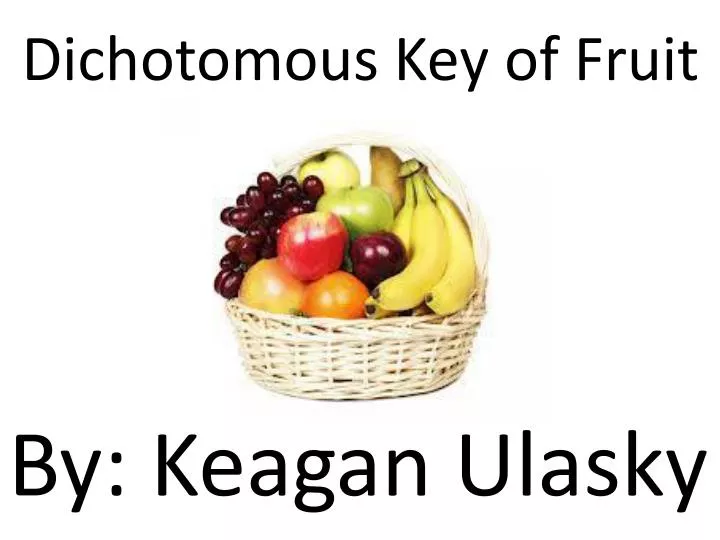 dichotomous key of fruit