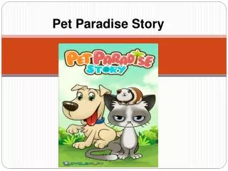 Pet Paradise Story