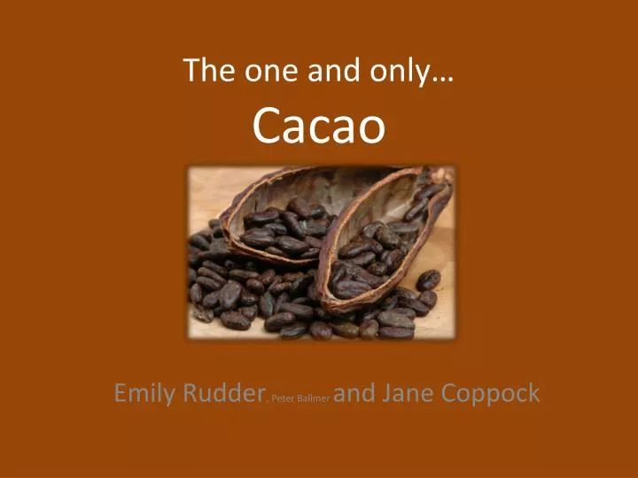 the one and only cacao