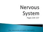 Nervous System - slide 1
