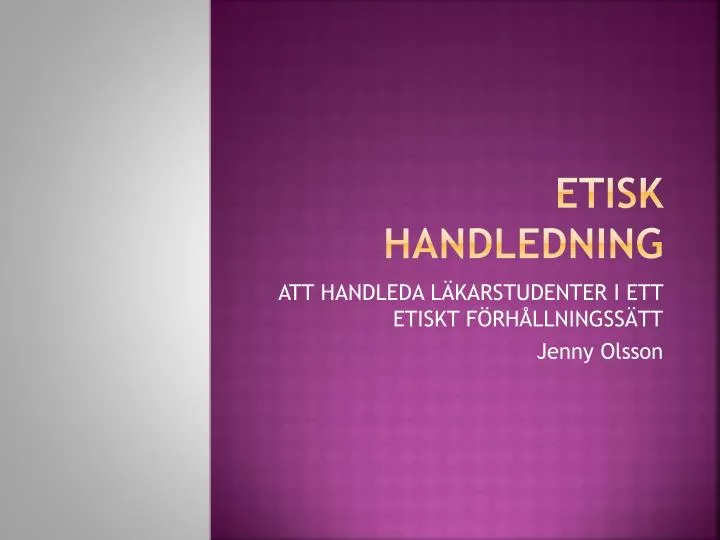 etisk handledning