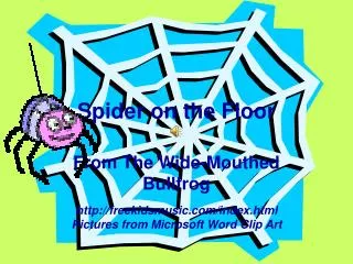 Spider on the Floor