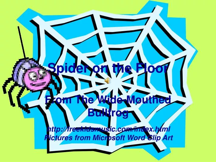 spider on the floor