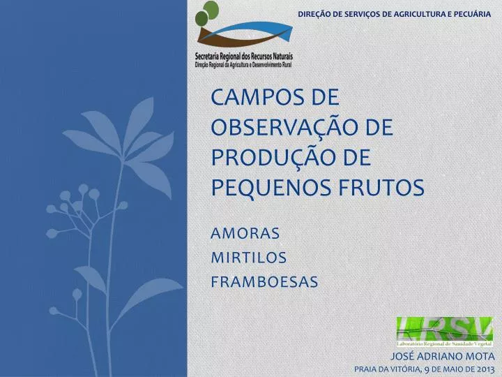 campos de observa o de produ o de pequenos frutos