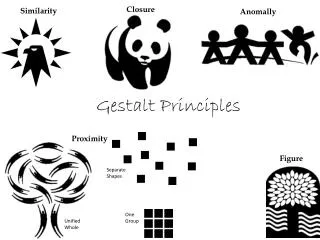 Gestalt Principles