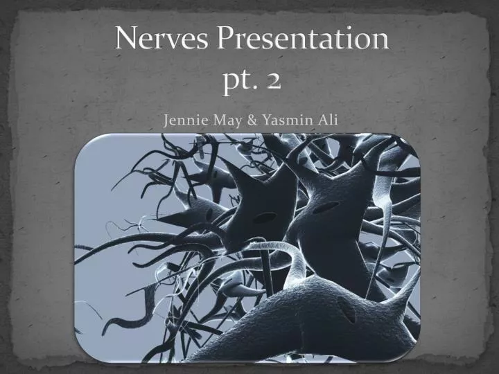 nerves presentation pt 2