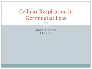 Cellular Respiration in Germinated Peas