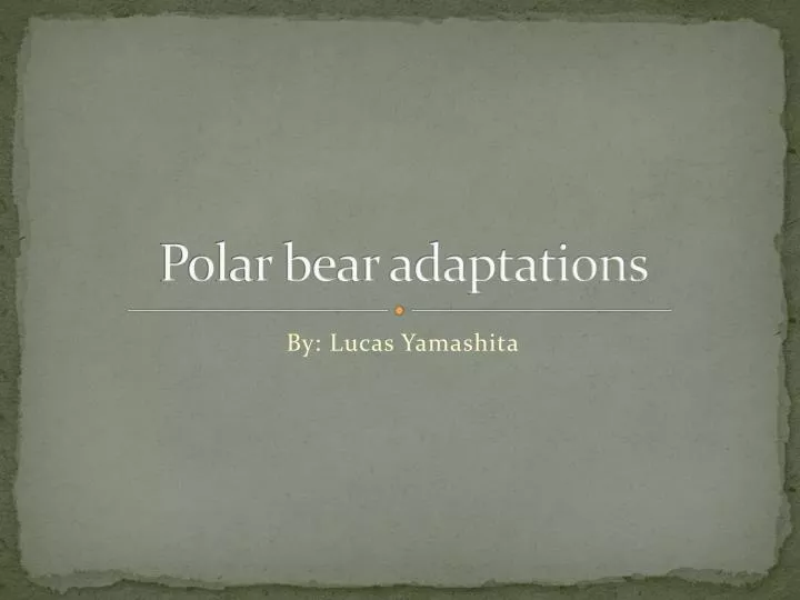 polar bear adaptations