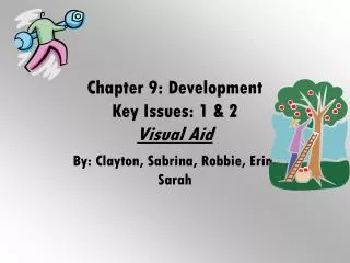 Chapter 9: Development Key Issues: 1 &amp; 2 Visual Aid