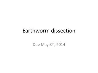 Earthworm dissection