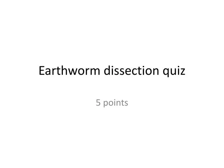 earthworm dissection quiz