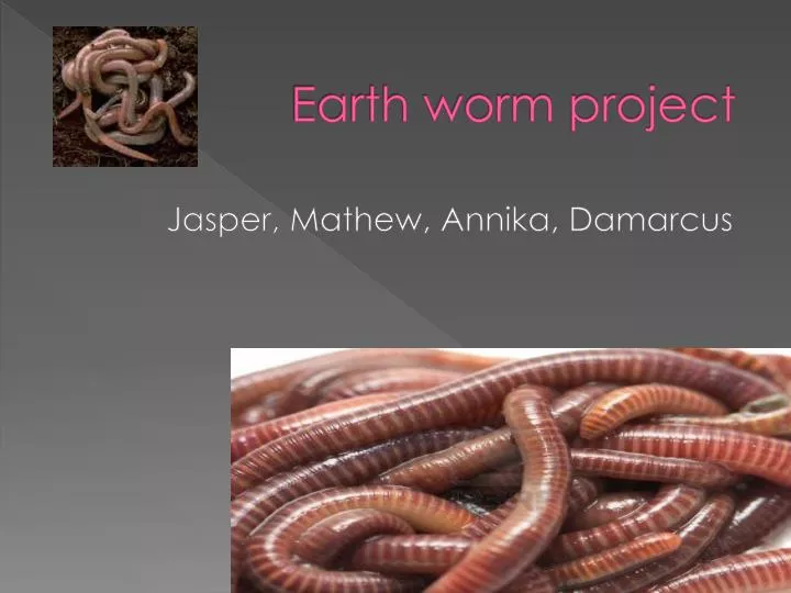 earth worm project