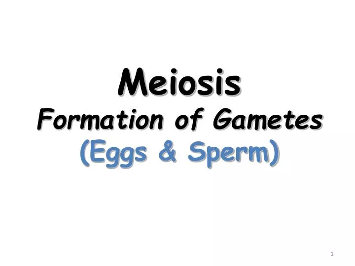 meiosis formation of gametes eggs sperm