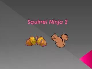 Squirrel Ninja 2