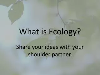 What is Ecology?