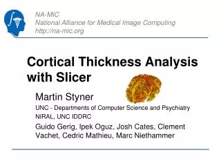 Cortical Thickness Analysis with Slicer