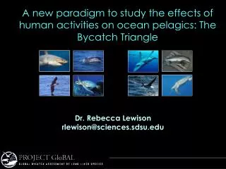 Dr. Rebecca Lewison rlewison@sciences.sdsu
