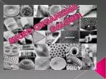MICRO ORGANISMS GALORE!! - slide 1