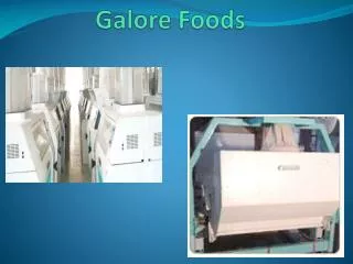 Galore Foods