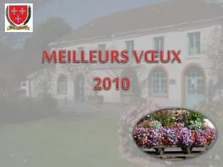 MEILLEURS VŒUX 2010