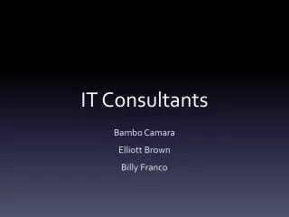 IT Consultants