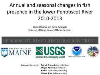 Annual and seasonal changes in fish presence in the lower Penobscot River 2010-2013